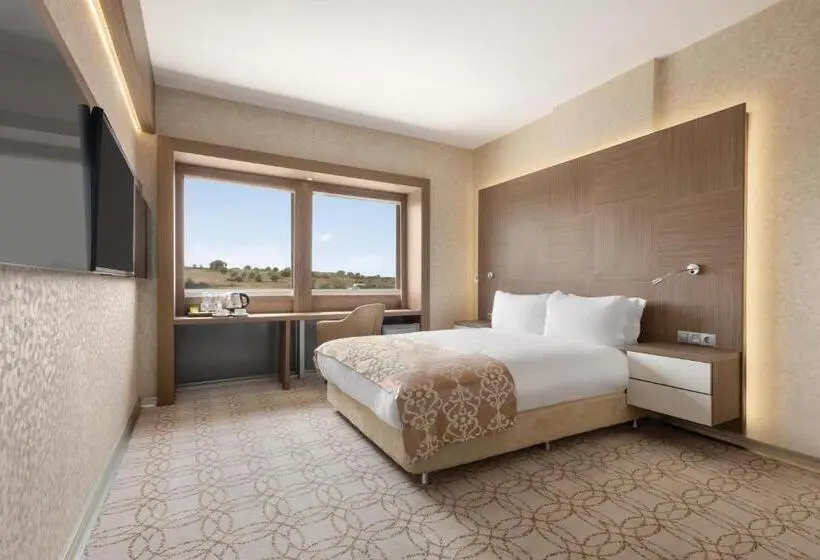 デラックスルーム, Wyndham Cerkezkoy