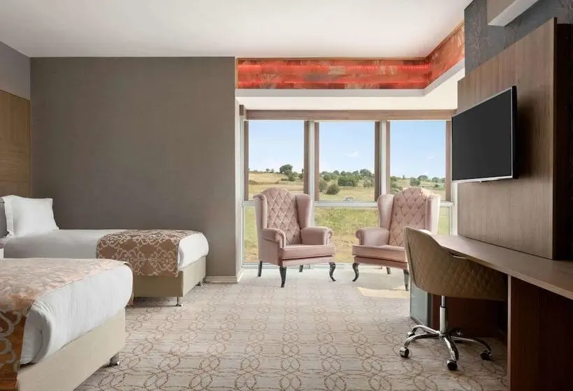 デラックスルーム, Wyndham Cerkezkoy