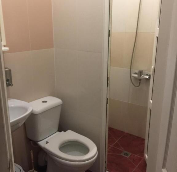 غرفة قياسية, Na Bukovinskoy Guest House