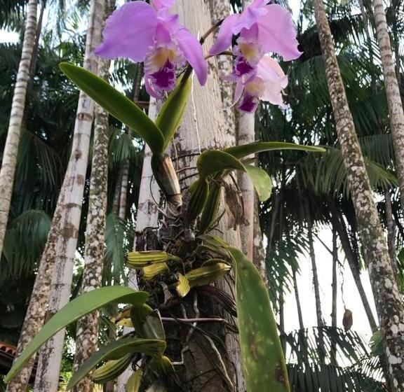 غرفة قياسية مطلّة علي الحديقة, Pousada Estrela