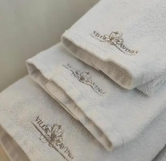 エコノミールーム, Villa Lavinia B&b