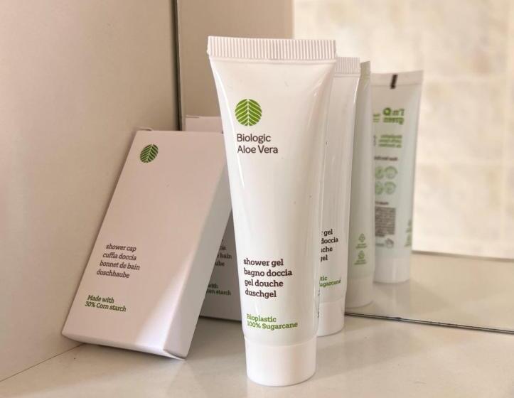 デラックスルーム, Villa Lavinia B&b