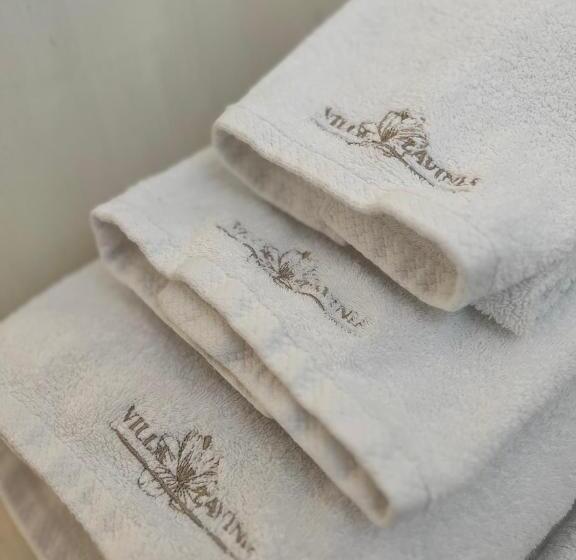 デラックスルーム, Villa Lavinia B&b