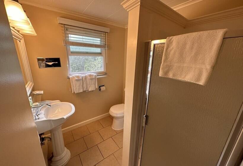 Номер Стандарт 2 Двуспальные Кровати, Astoria Crest Motel