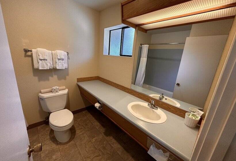 Номер Стандарт Двуспальная Кровать, Astoria Crest Motel