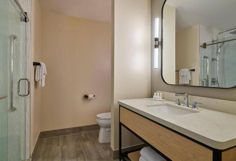 스탠다드 룸 킹사이즈 침대, Courtyard By Marriott Denver Downtown