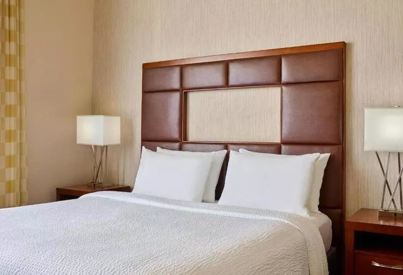 اتاق استاندارد با تخت بزرگ, Courtyard By Marriott Denver Downtown