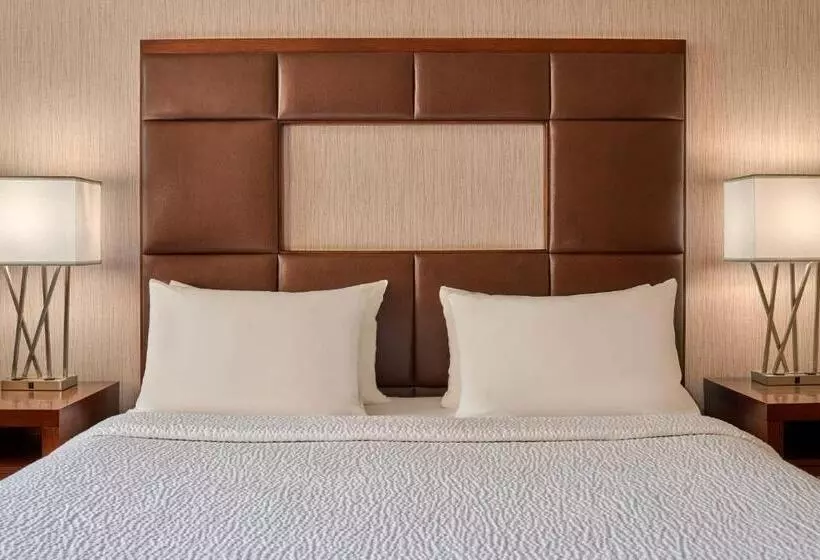 اتاق استاندارد با تخت بزرگ, Courtyard By Marriott Denver Downtown
