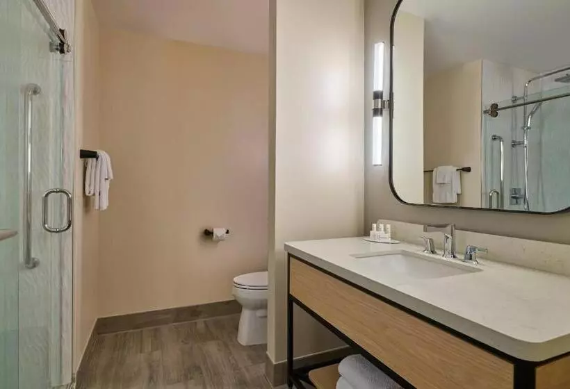 اتاق استاندارد, Courtyard By Marriott Denver Downtown