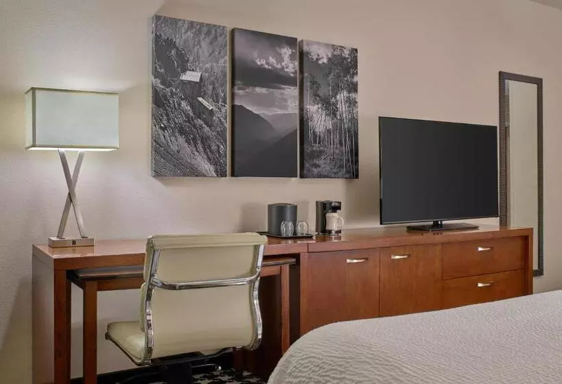 اتاق استاندارد با چشم‌انداز شهر, Courtyard By Marriott Denver Downtown