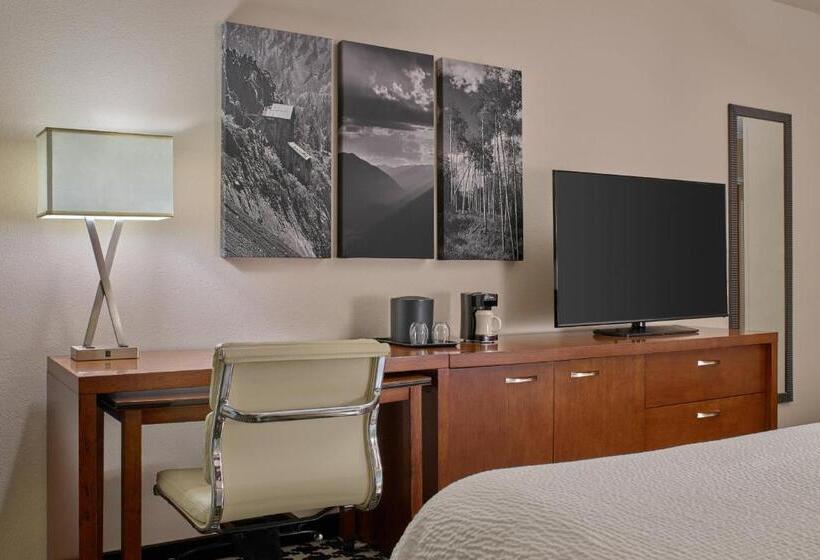 장애인을 위한 스탠다드 룸, Courtyard By Marriott Denver Downtown