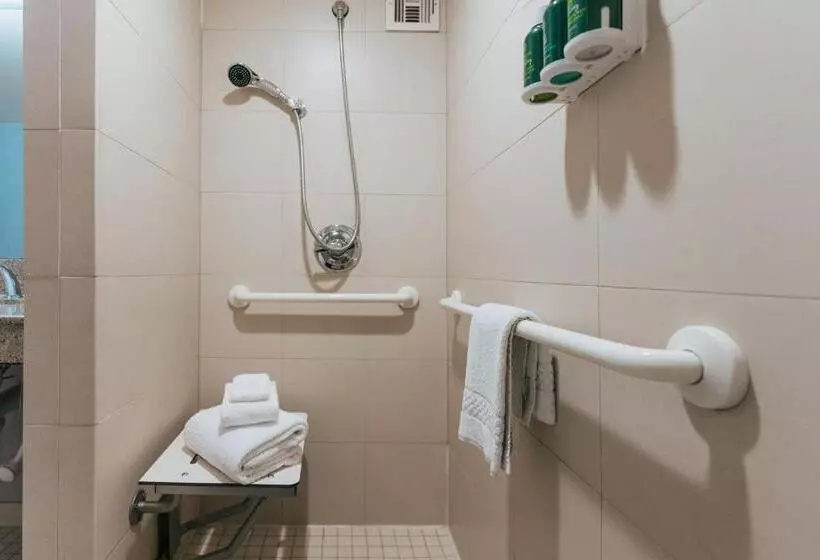 اتاق استاندارد با تخت بزرگ, Courtyard By Marriott Los Angeles Lax/century Boulevard