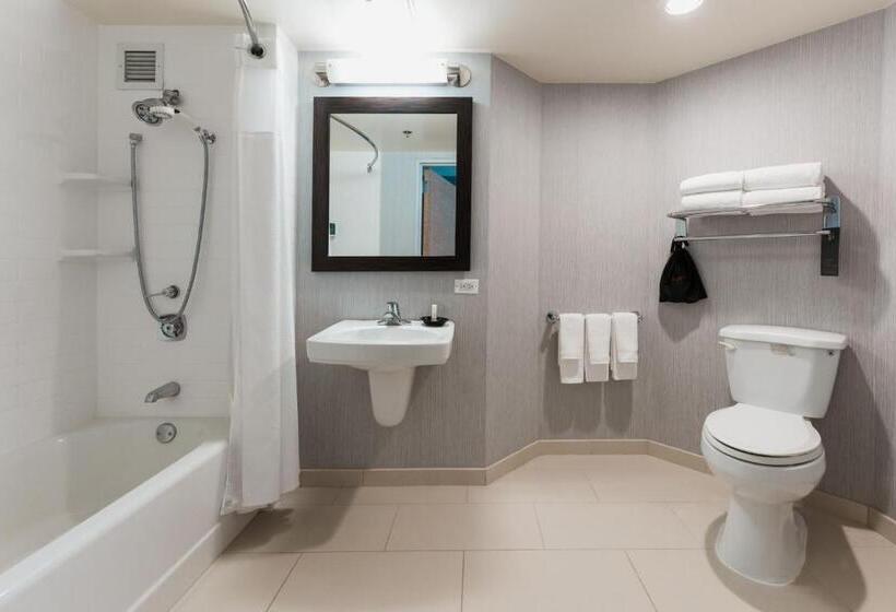 带大床的标准间, Courtyard By Marriott Los Angeles Lax/century Boulevard