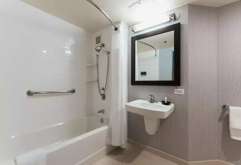 اتاق استاندارد با تخت بزرگ, Courtyard By Marriott Los Angeles Lax/century Boulevard