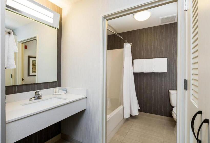 장애인을 위한 킹사이즈 침대 스탠다드 룸, Courtyard Dallas Mesquite