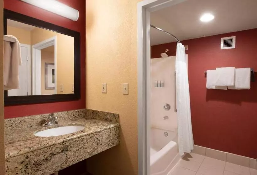 身障者適用キングサイズベッドルーム, Courtyard By Marriott Dallas Plano In Legacy Park