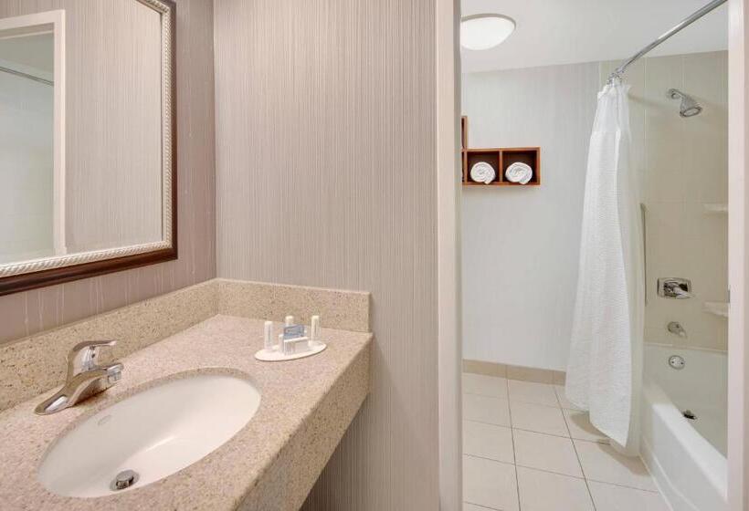 جناح سرير كينج, Courtyard Detroit Southfield