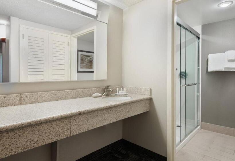 اتاق استاندارد با تخت بزرگ, Courtyard Lafayette Airport