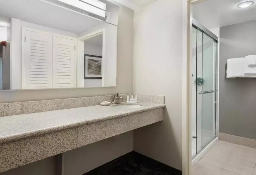 اتاق استاندارد با تخت بزرگ, Courtyard by Marriott Lafayette Airport