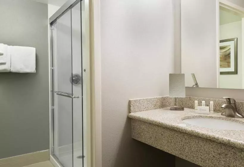 اتاق استاندارد با تخت بزرگ, Courtyard by Marriott Lafayette Airport