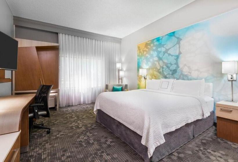 اتاق استاندارد با تخت بزرگ, Courtyard Lafayette Airport