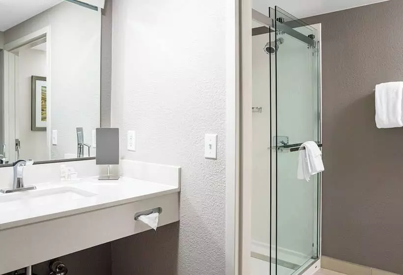 اتاق استاندارد با 2 تخت دوبل, Courtyard Paducah West