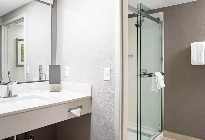 اتاق استاندارد با 2 تخت دوبل, Courtyard Paducah West