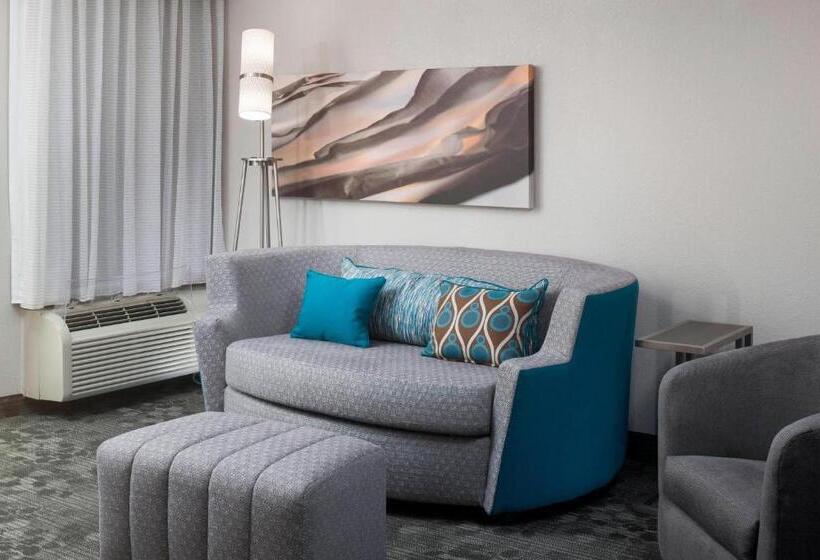 带大床的套房, Courtyard Tuscaloosa