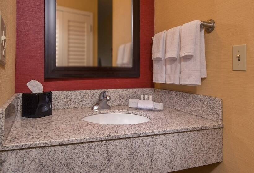 스탠다드 룸 더블 침대 2개, Courtyard Williamsburg Busch Gardens