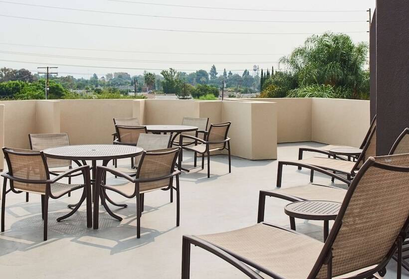 Balkonlu Süit, Doubletree By Hilton Fullerton