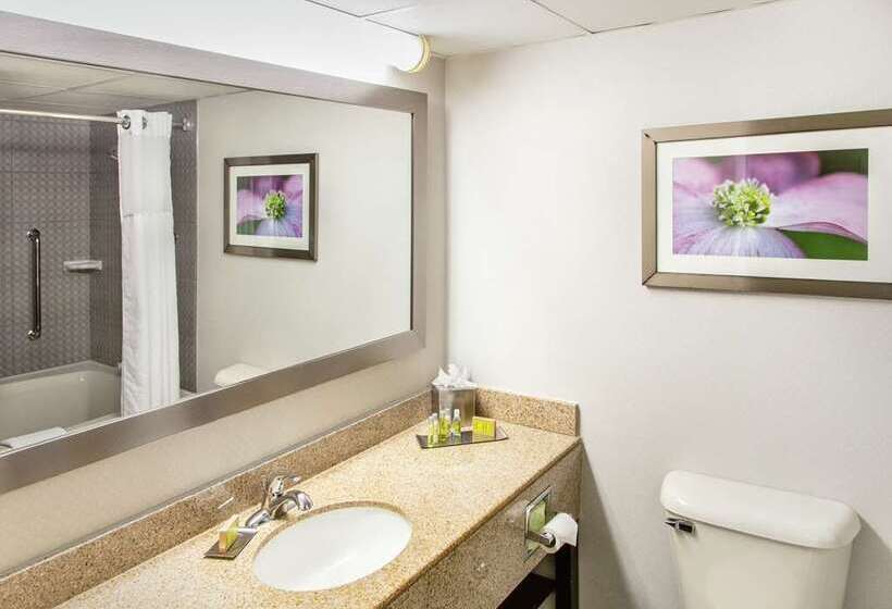 Standart Oda, Doubletree By Hilton Fullerton