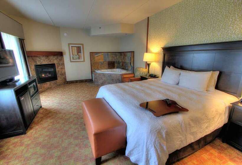 Standart Oda, Doubletree By Hilton Fullerton