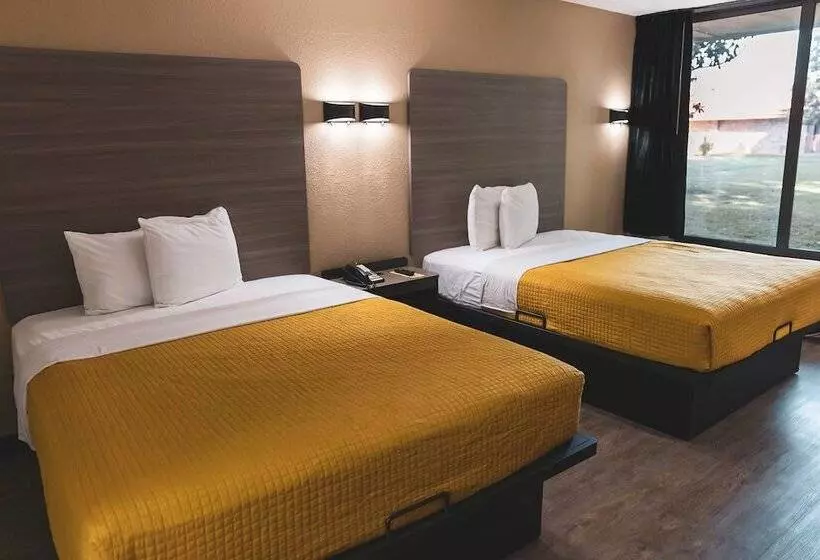 Standard-huone 2 Parivuodetta, Express Inn & Suites