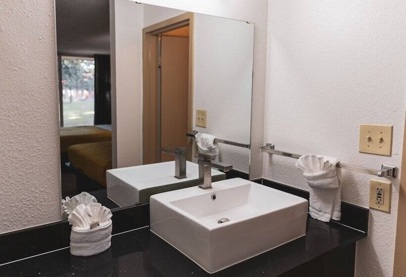 带2个双人床的标准工作室, Express Inn & Suites