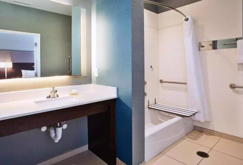 クイーンサイズベッドのスイートルーム, Residence Inn By Marriott Columbus Dublin