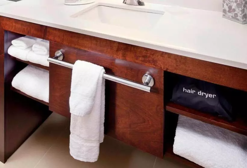 クイーンサイズベッドのスイートルーム, Residence Inn By Marriott Columbus Dublin