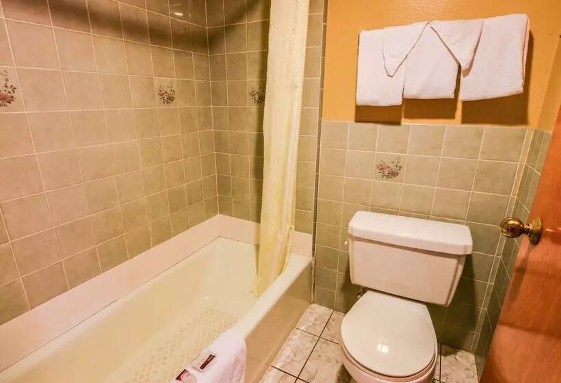 スタンダードルーム, Chariot Inn Glendale Pasadena