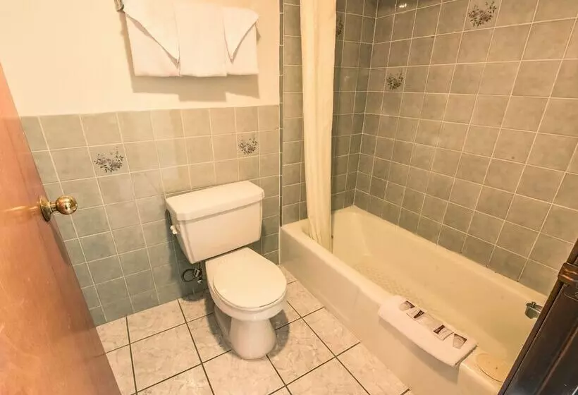 スタンダードルーム, Chariot Inn Glendale Pasadena