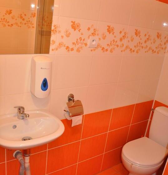Номер Стандарт Трехместный, Hostel Děčín Na Skřivánce