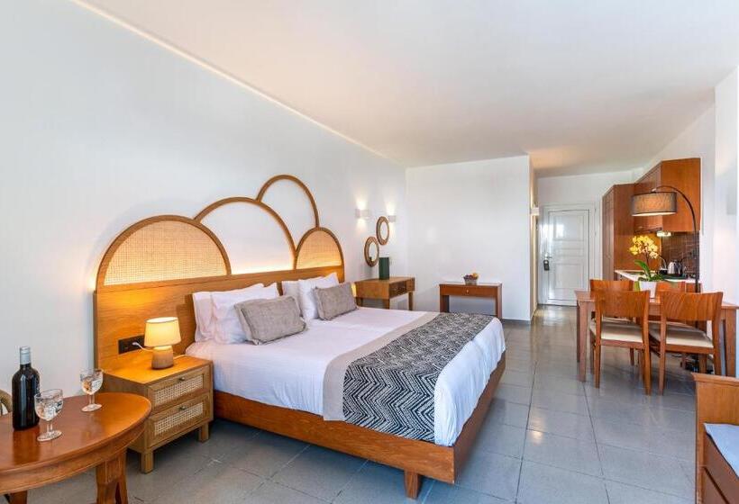 Habitació Estàndard, Delfina Boutique