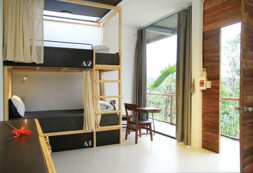 تختخواب در اتاق مشترک, Nano Ecohostel