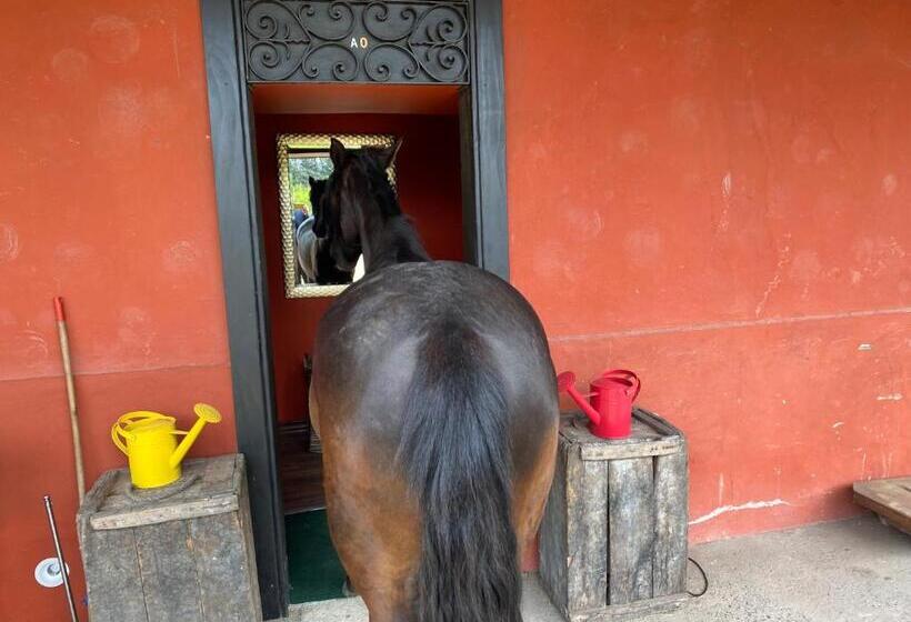 جناح مطلّ علي الحديقة, Strip Center Suites By Casona Lo Aguirre