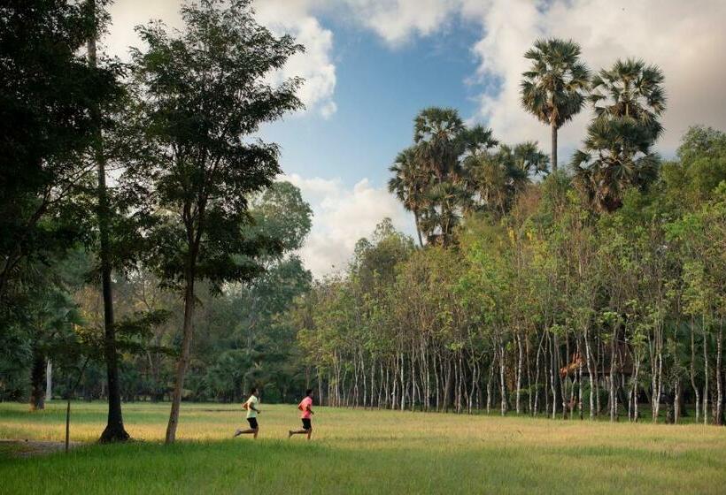 خانه 1 خوابه, Mane Family Vacation