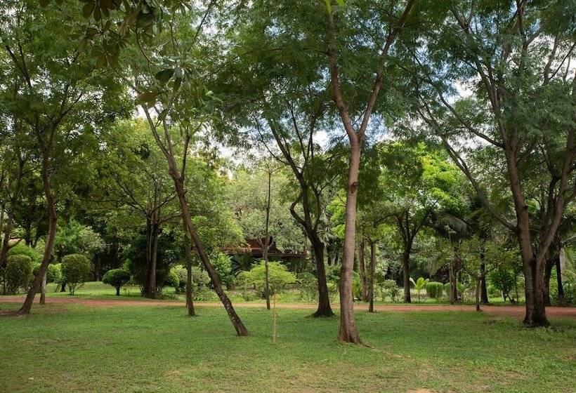 خانه 1 خوابه, Mane Family Vacation