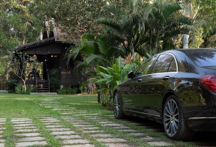 اتاق استاندارد, Mane Family Vacation