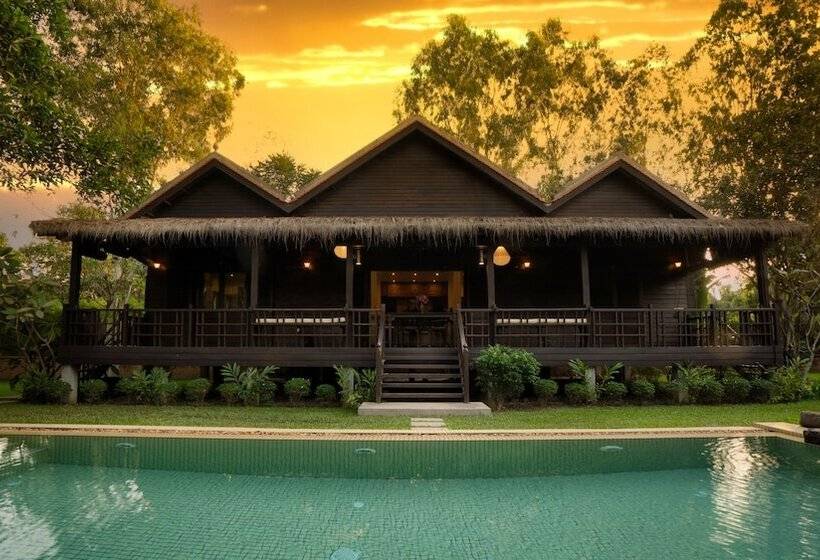 اتاق استاندارد, Mane Family Vacation