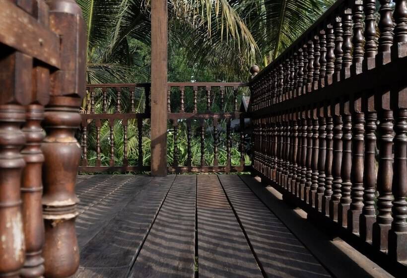 اتاق استاندارد, Mane Family Vacation