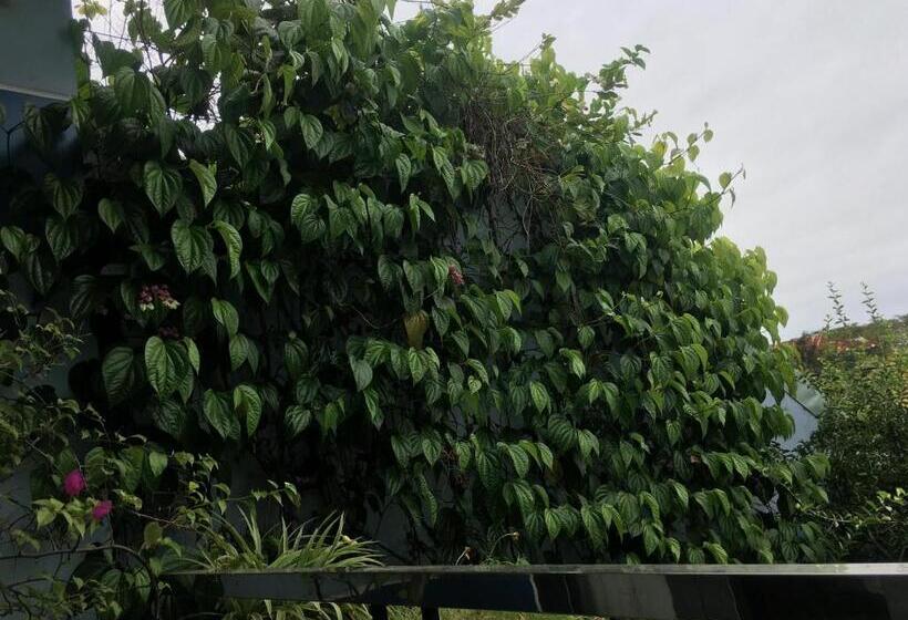 اتاق لوکس با بالکن, Cherry Garden Homestay