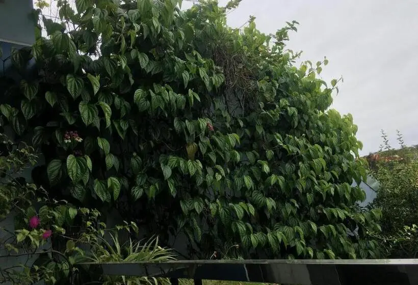 اتاق لوکس با بالکن, Cherry Garden Homestay