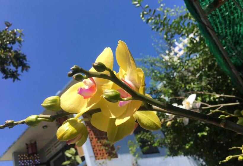 اتاق لوکس با بالکن, Cherry Garden Homestay